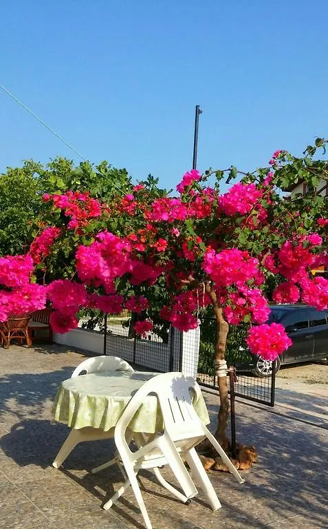 Tavilogullari Villa Apart 达利安 土耳其