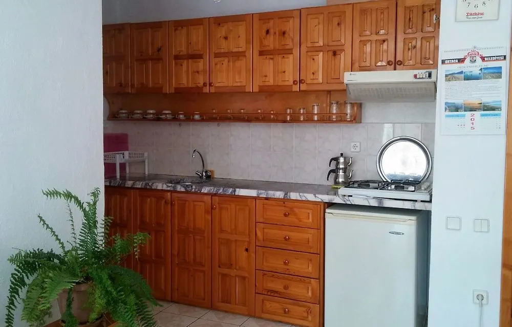 公寓式酒店 Tavilogullari Villa Apart 达利安